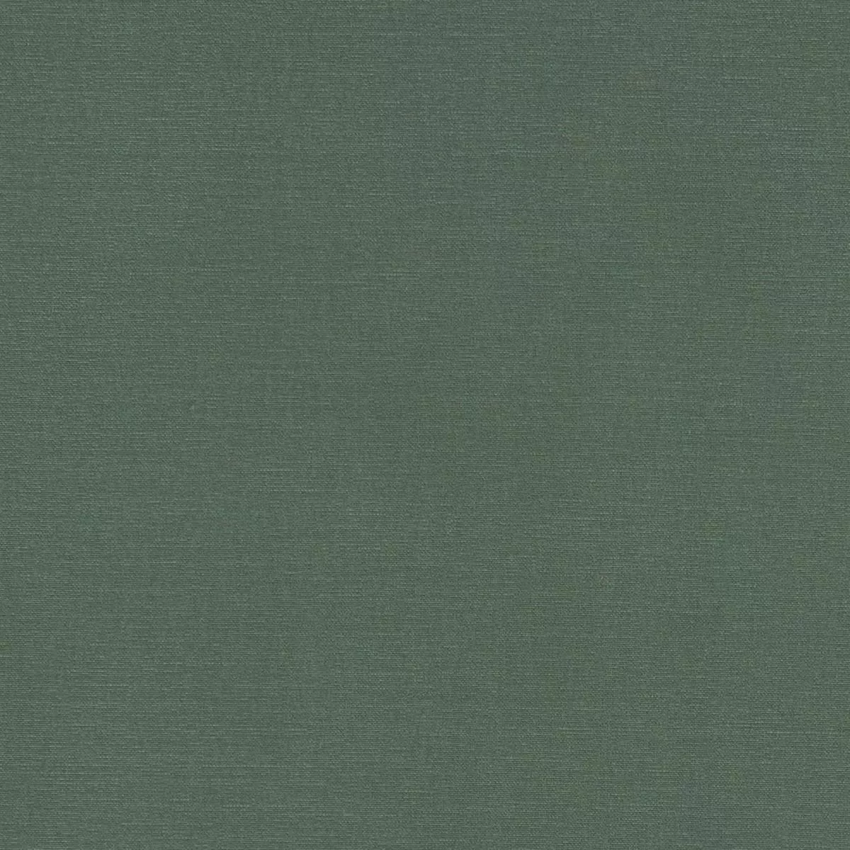 Clarke & Clarke Alora Forest Fabric