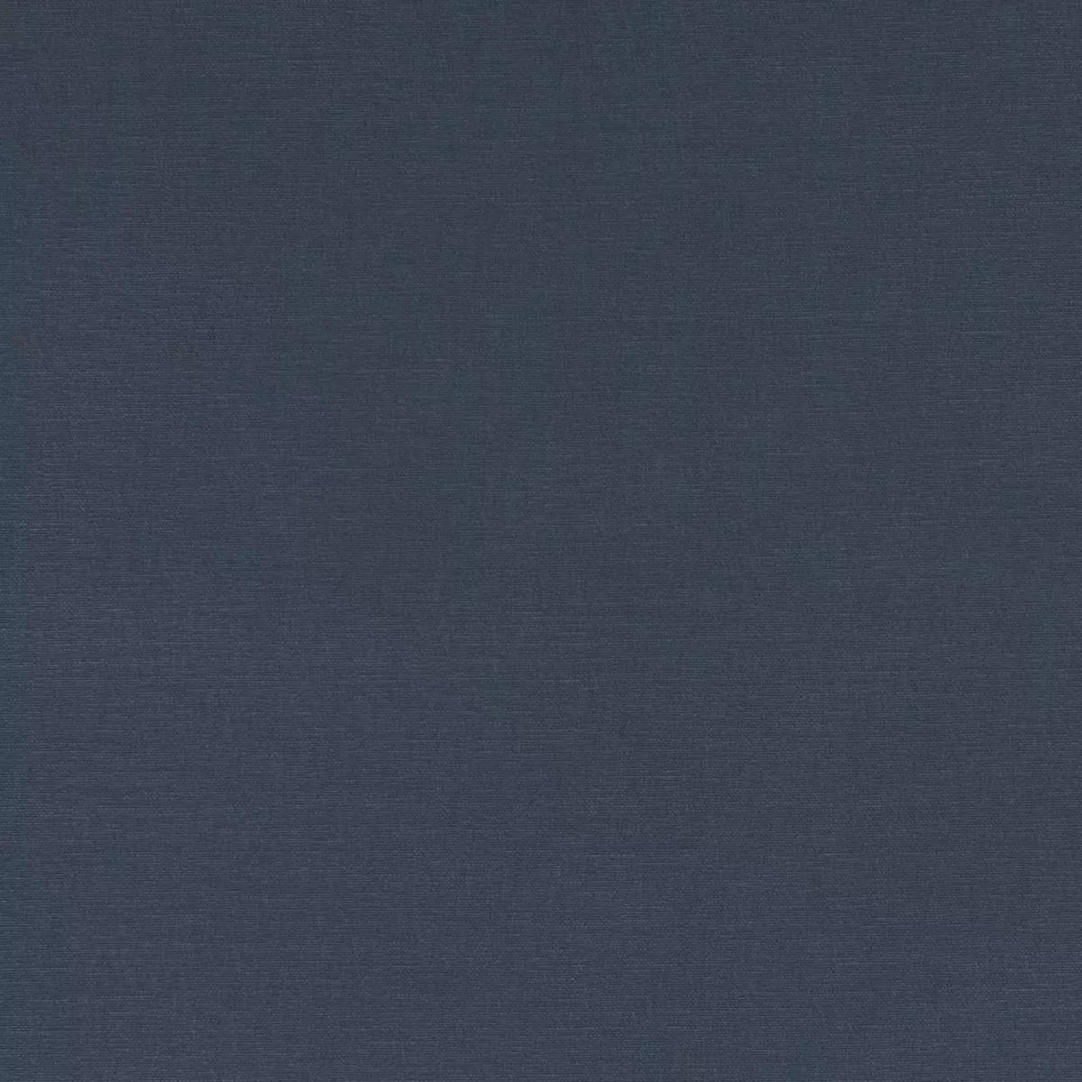 Clarke & Clarke Alora Ink Fabric