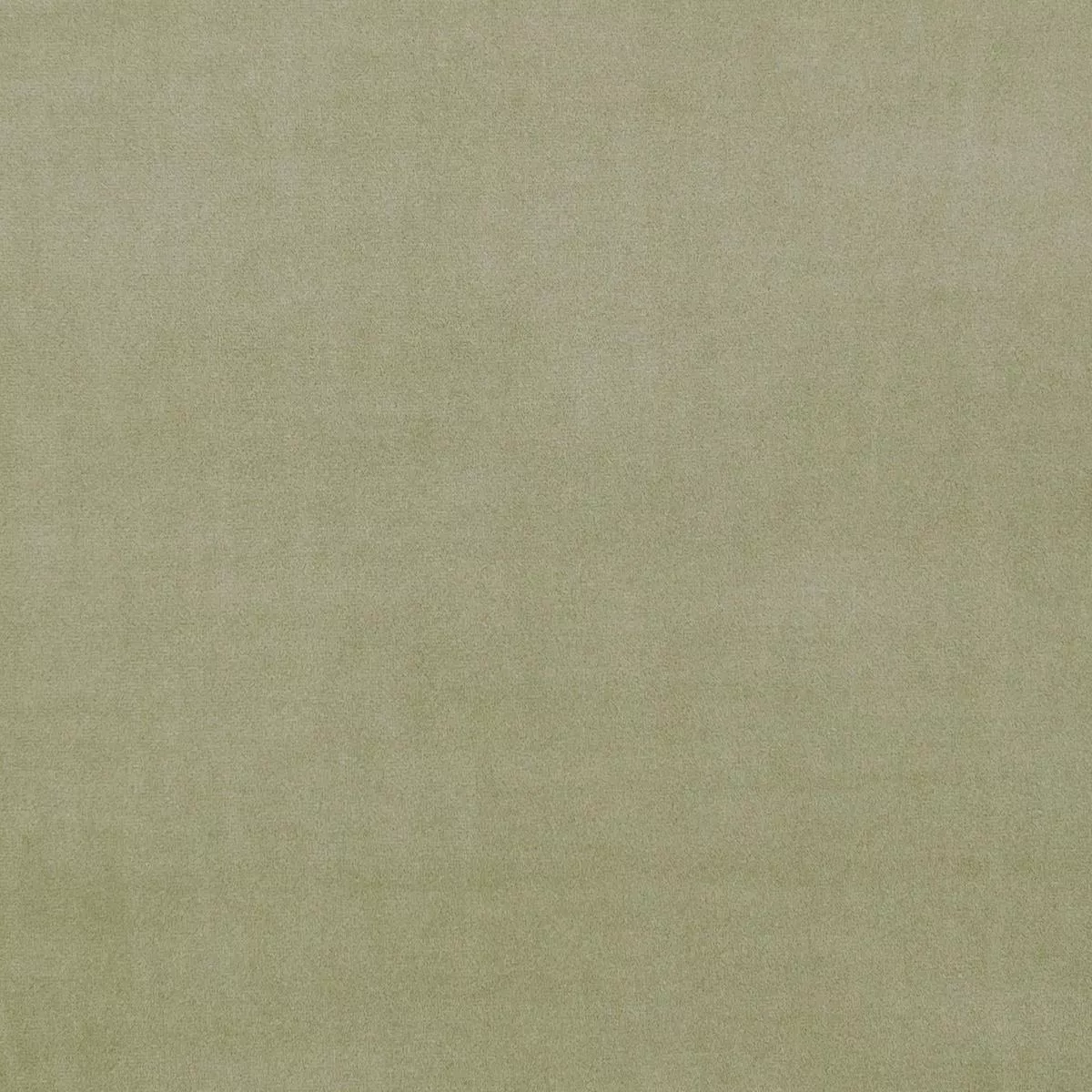 Clarke & Clarke Alvar Sage Fabric