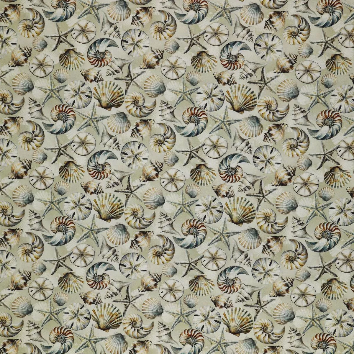 coastal-escape-fabric-collection-coastal-shells-neutral Coastal Escape Fabric Collection – Coastal Shells Neutral