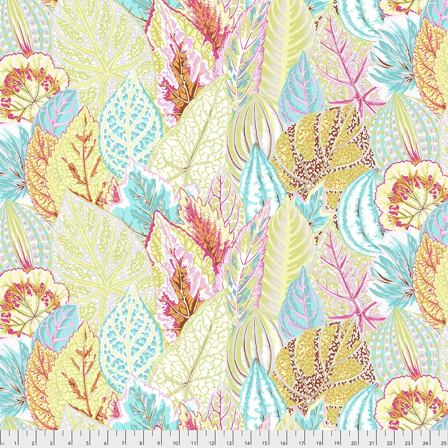 Coleus - GreyFreeSpirit PJ030.GREY