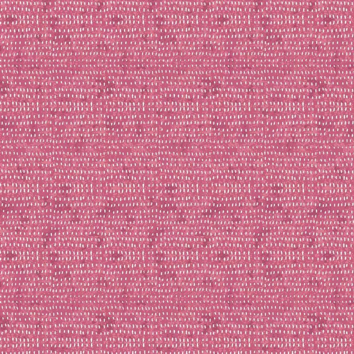 cori-dantini-seeds-carnation CORI DANTINI – SEEDS, CARNATION