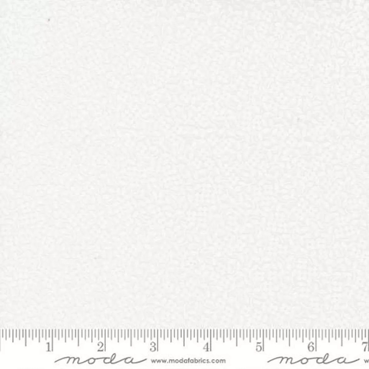 coriander-seeds-29148-white Coriander Seeds 29148, White