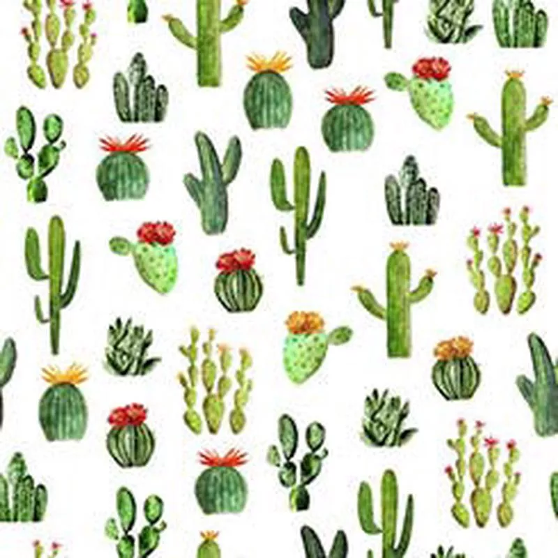 Cowboy Up Cactus 29848-Z