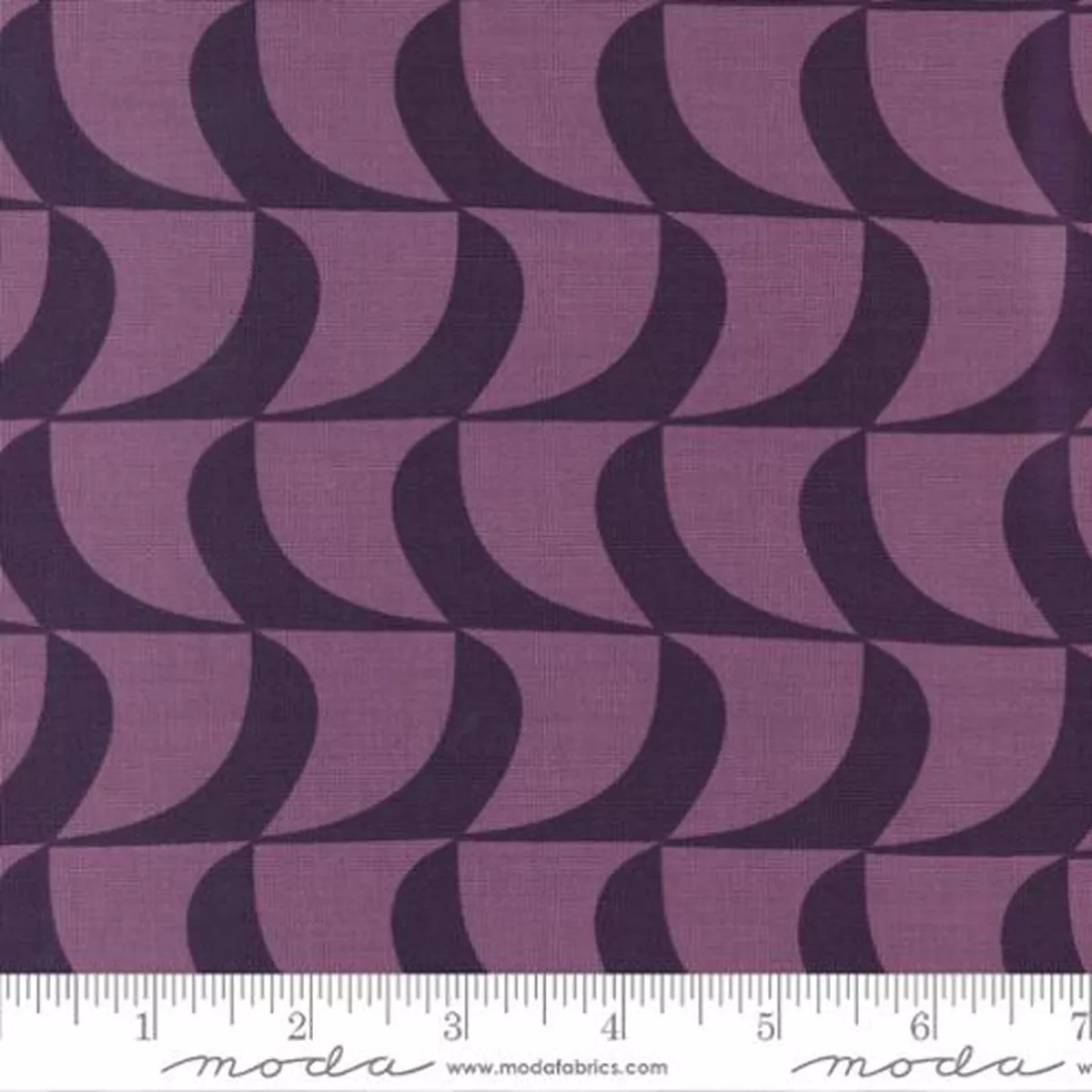 Creativity Roars! – Dolphin Waves Plum