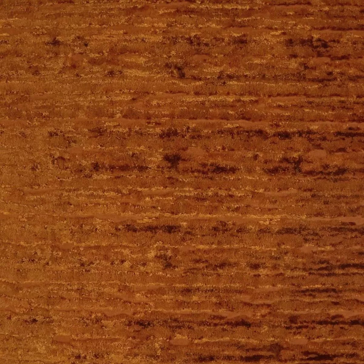 D.V. Kap Home Wake Pumpkin Fabric