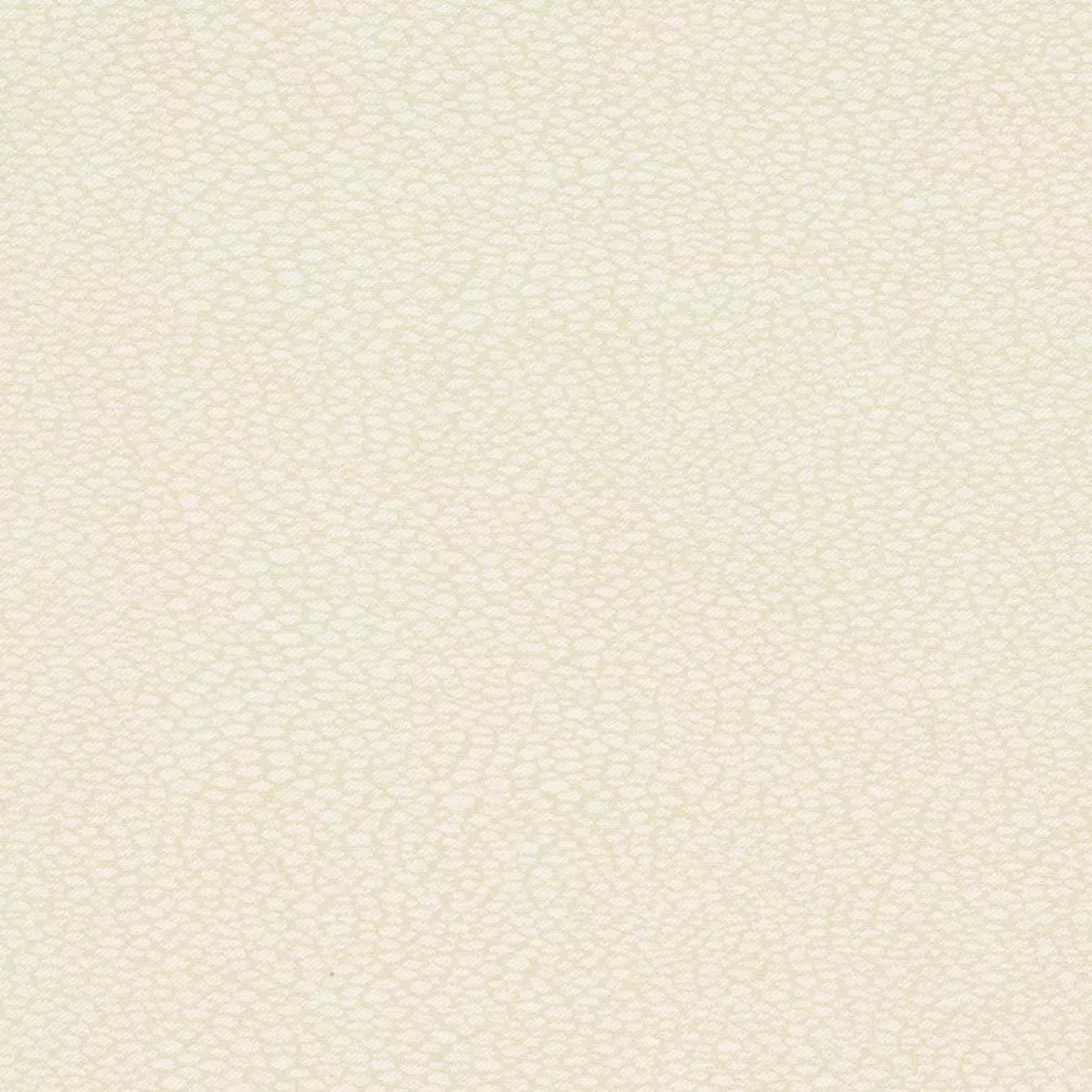 D895 Pebble/Buff
