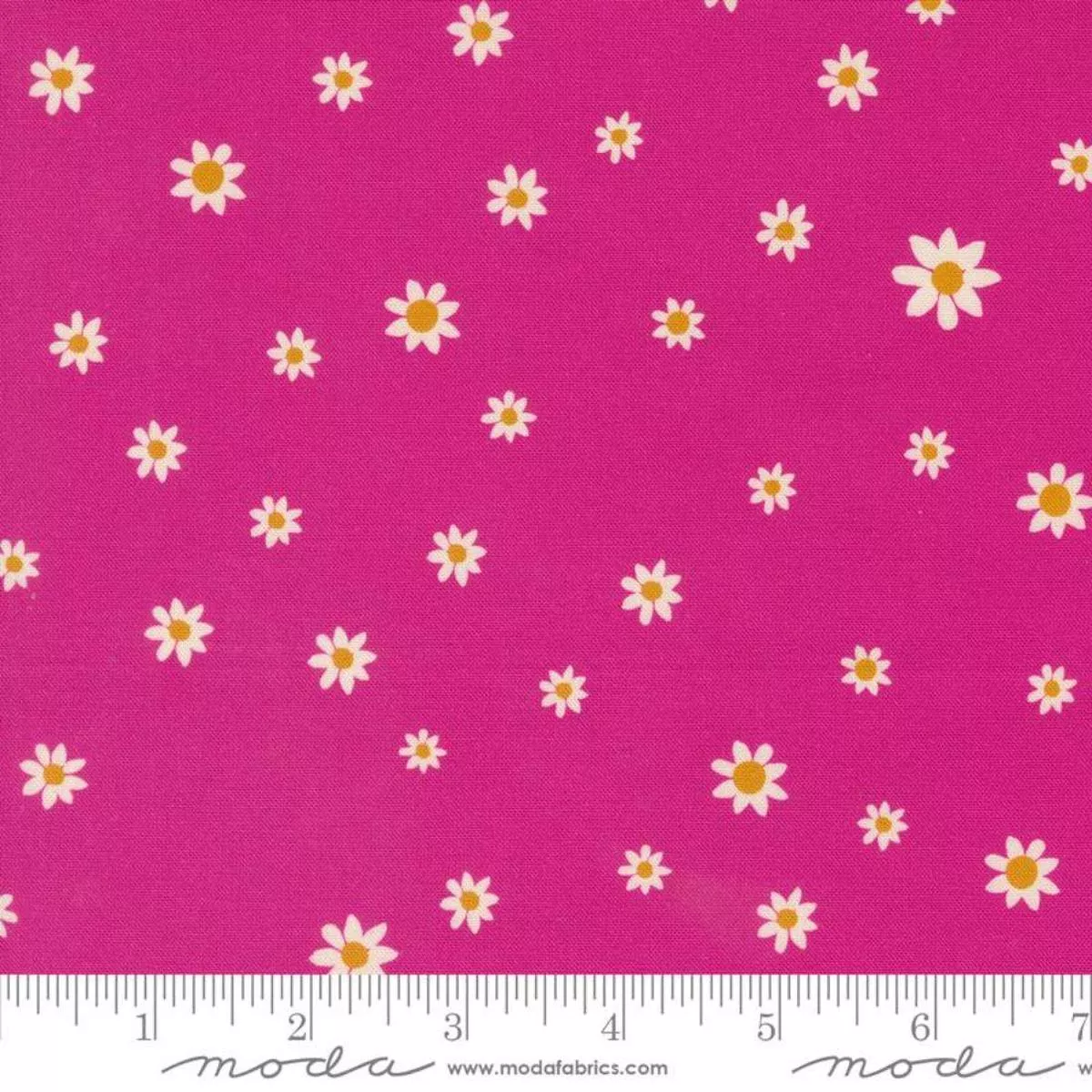 Daisy Dot Poppy by Crystal Manning