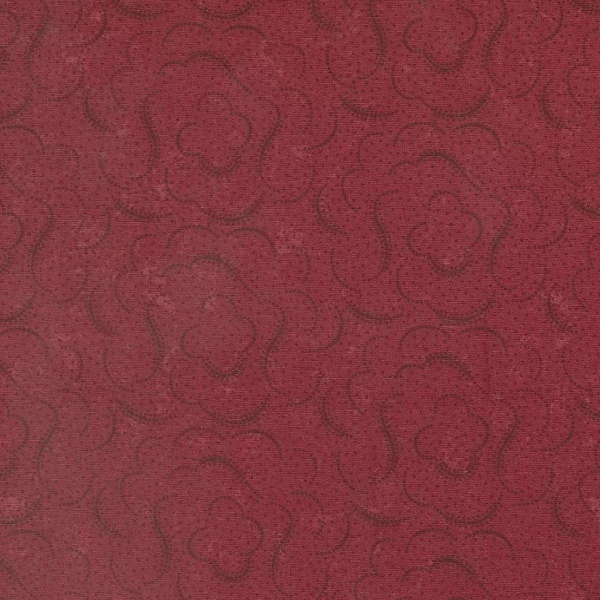 daisy-lane-cloudy-skies-carnation-9767-13 Daisy Lane – Cloudy Skies Carnation 9767-13