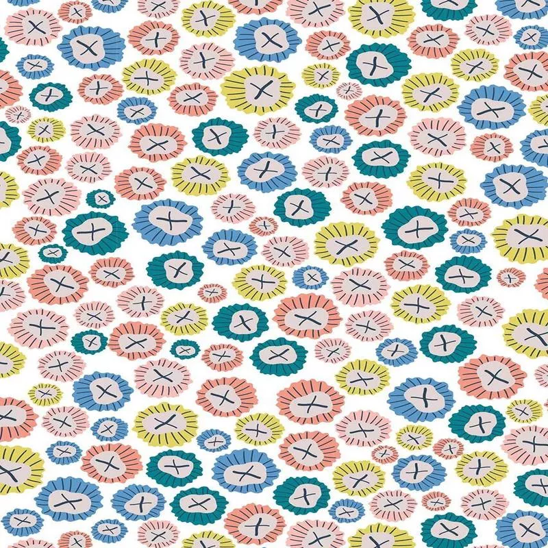 dashwood-studio-rock-pool-barnacles-white-multi Dashwood Studio Rock Pool Barnacles White / Multi