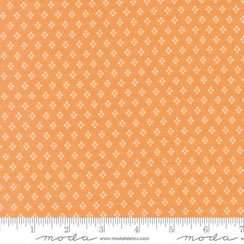 Delightfully Yours Apricot 37707-13