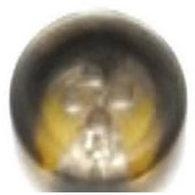 Dill Buttons DB1195