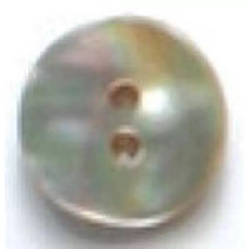 Dill Buttons DB887