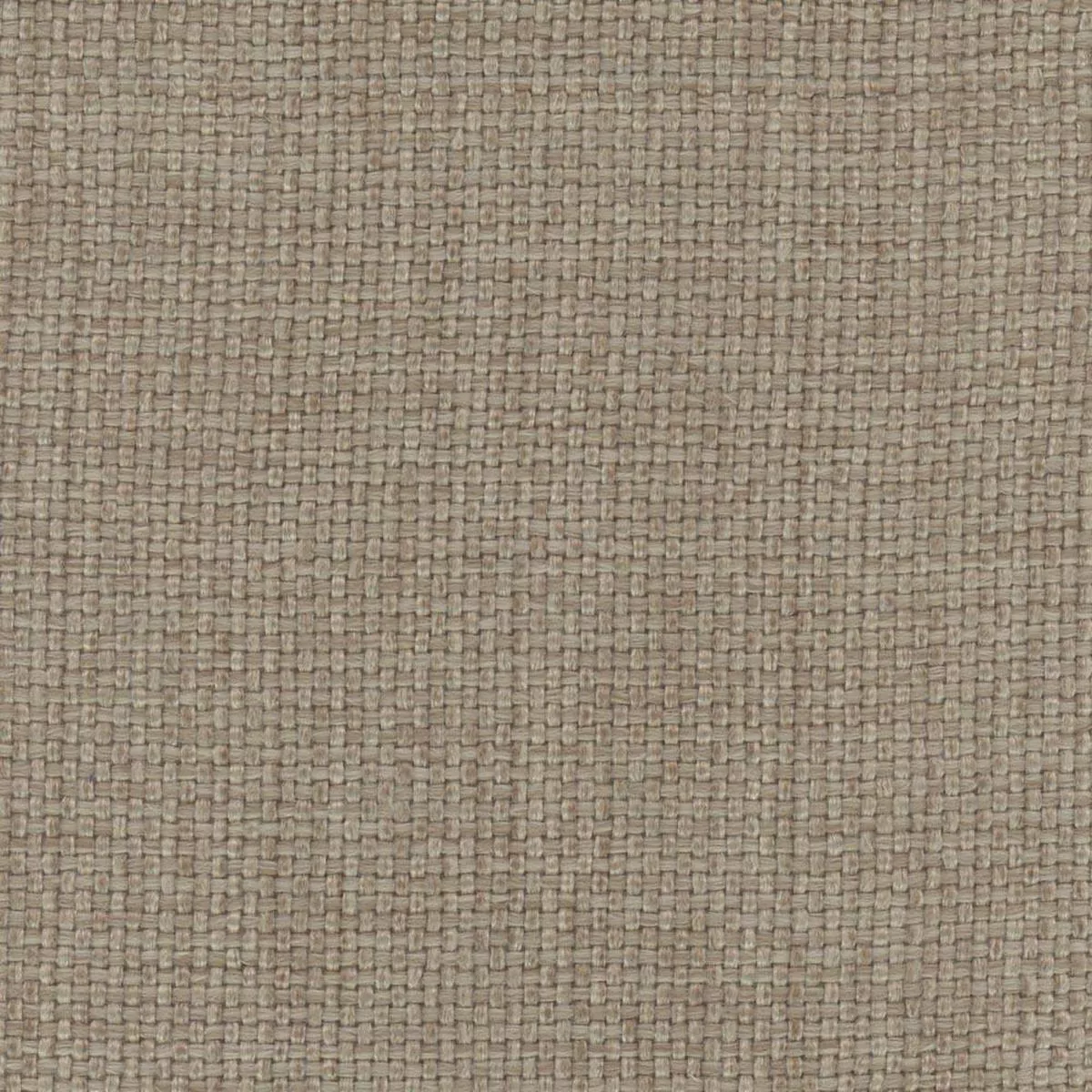 director-s-cut-doeskin Director’s Cut Doeskin