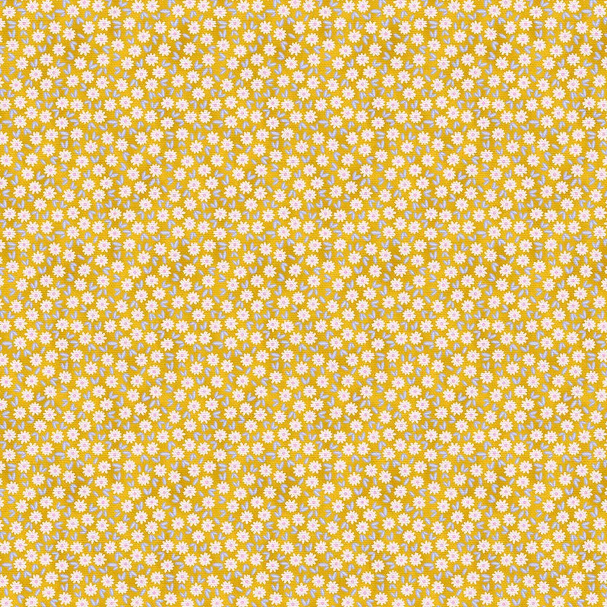 Ditsy Daisy – Gold – Sateen – 60″