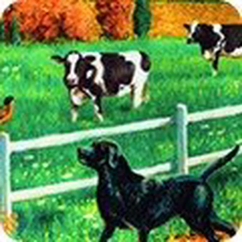 Down On The Farm Digital – Country
