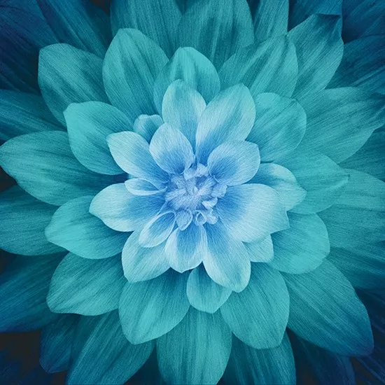 dream-big-panel-teal Dream Big Panel (Teal)