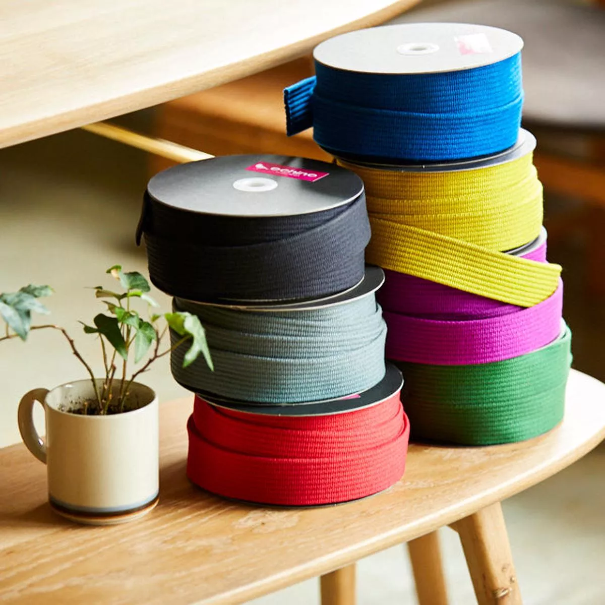 echino-cord-webbing echino Cord Webbing
