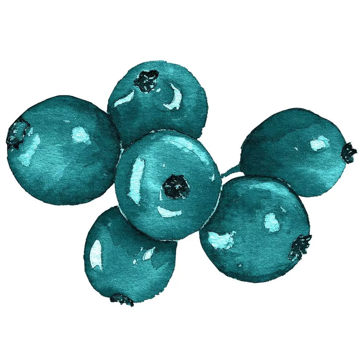 Elegant Nutcracker Christmas Berries Fabric Panel – Blue