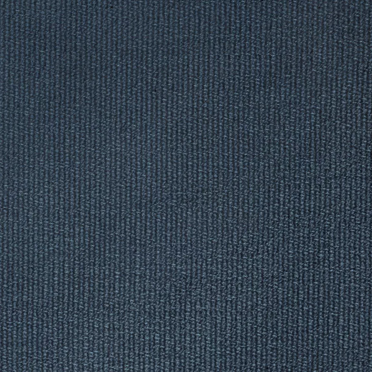 Entoto Weave Marine Fabric