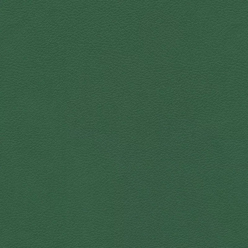 Esmeralda Forever Pleather