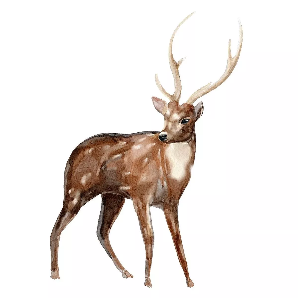 evergreen-forest-deer-3-fabric-panel Evergreen Forest Deer #3 Fabric Panel