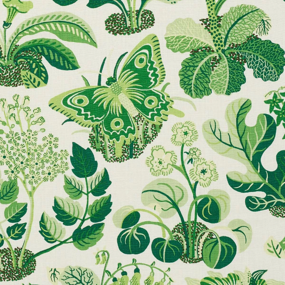 exotic-butterfly-leaf-fabric Exotic Butterfly Leaf Fabric