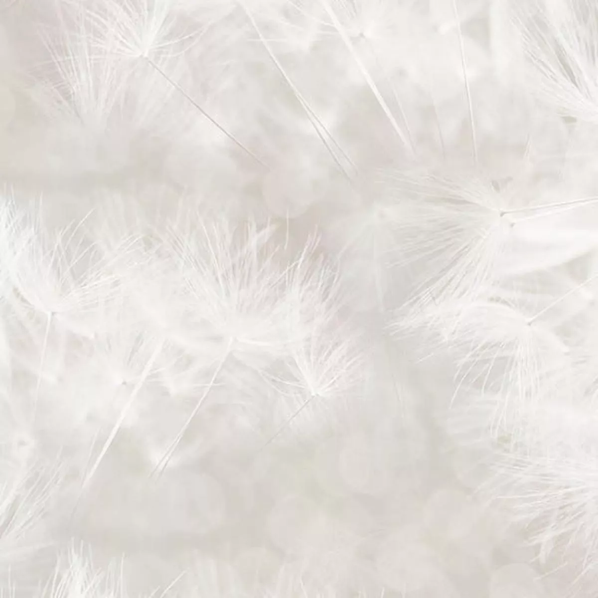 Farmhouse Blooms-Neutral