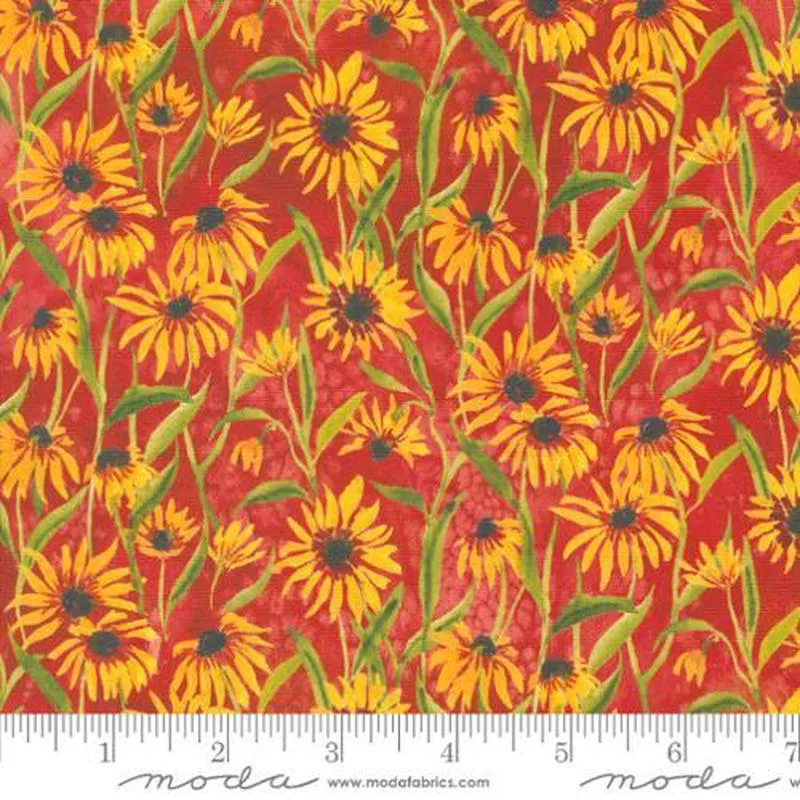floribunda-create-joy-spice-539805-14 Floribunda Create Joy – Spice– 539805-14