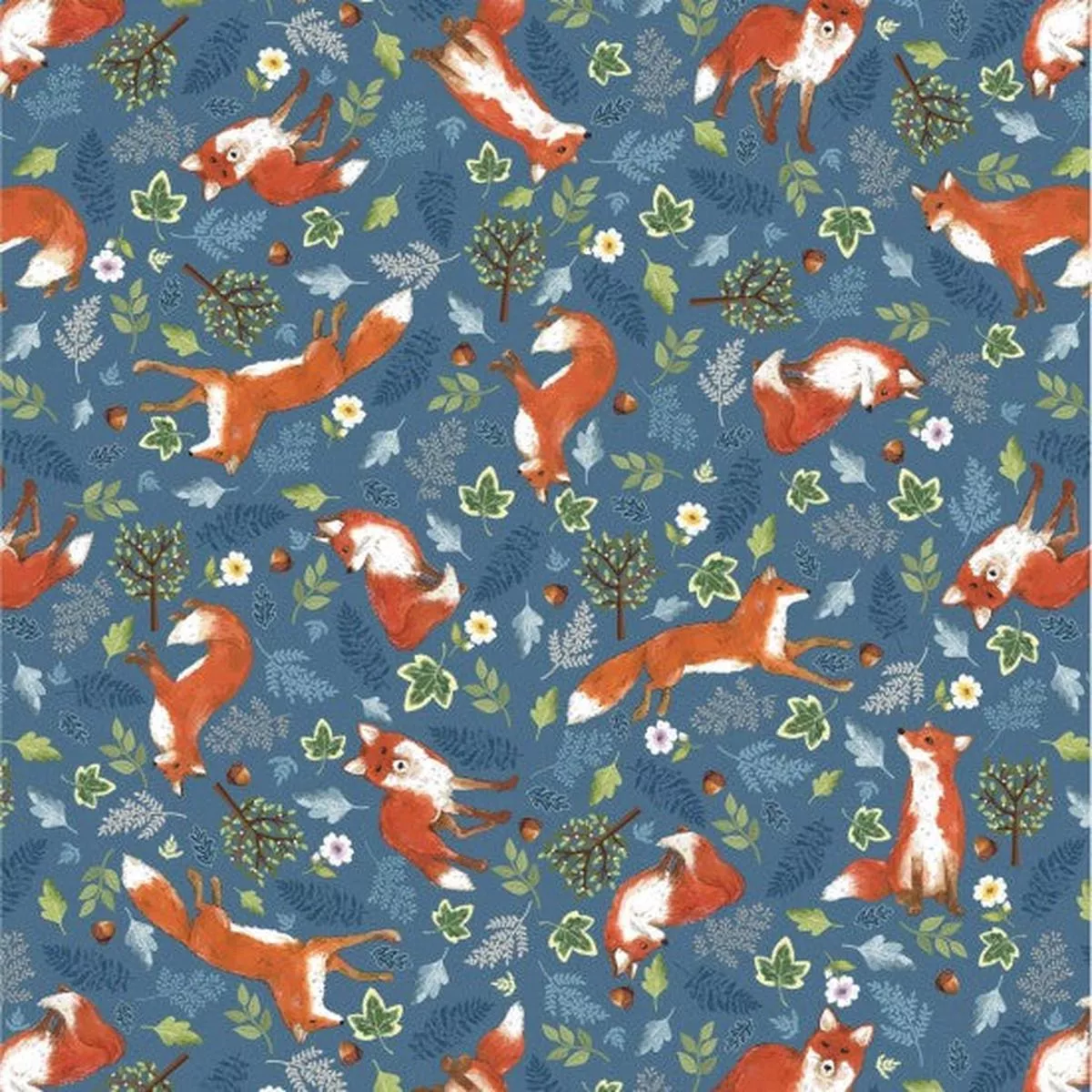forest-wonder-foxes Forest Wonder – Foxes
