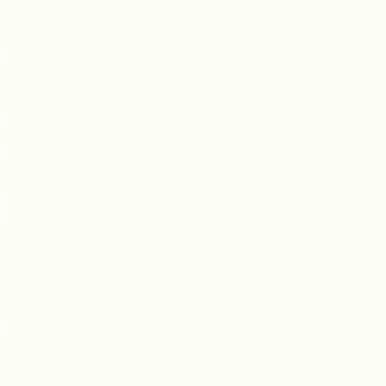 FreeSpirit Fabrics | Solids-Winter White | Solids | Designer Essentials