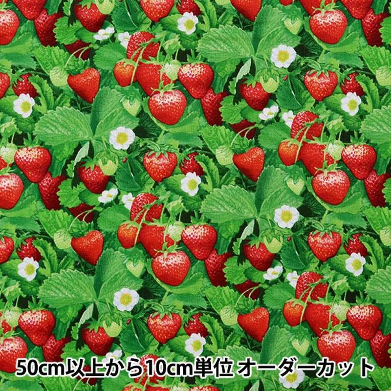 [From quantity 5] Fabric “USA Cotton Berry Good Strawberry Pattern 507-GREEN”