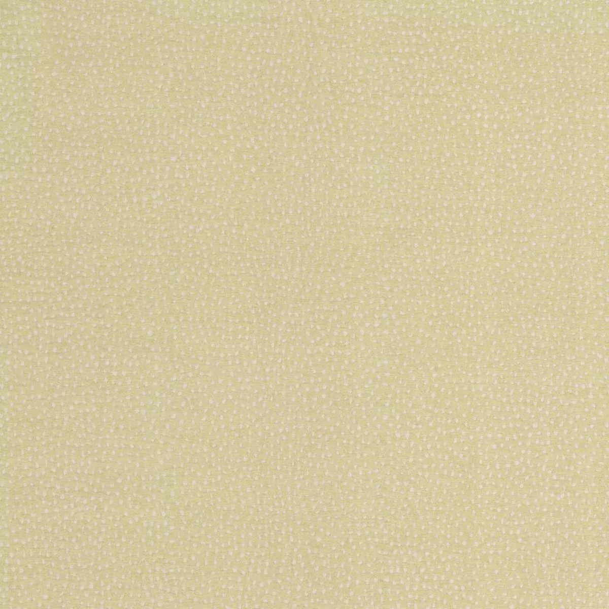 Galaxy Lemongrass Tempo Fabric