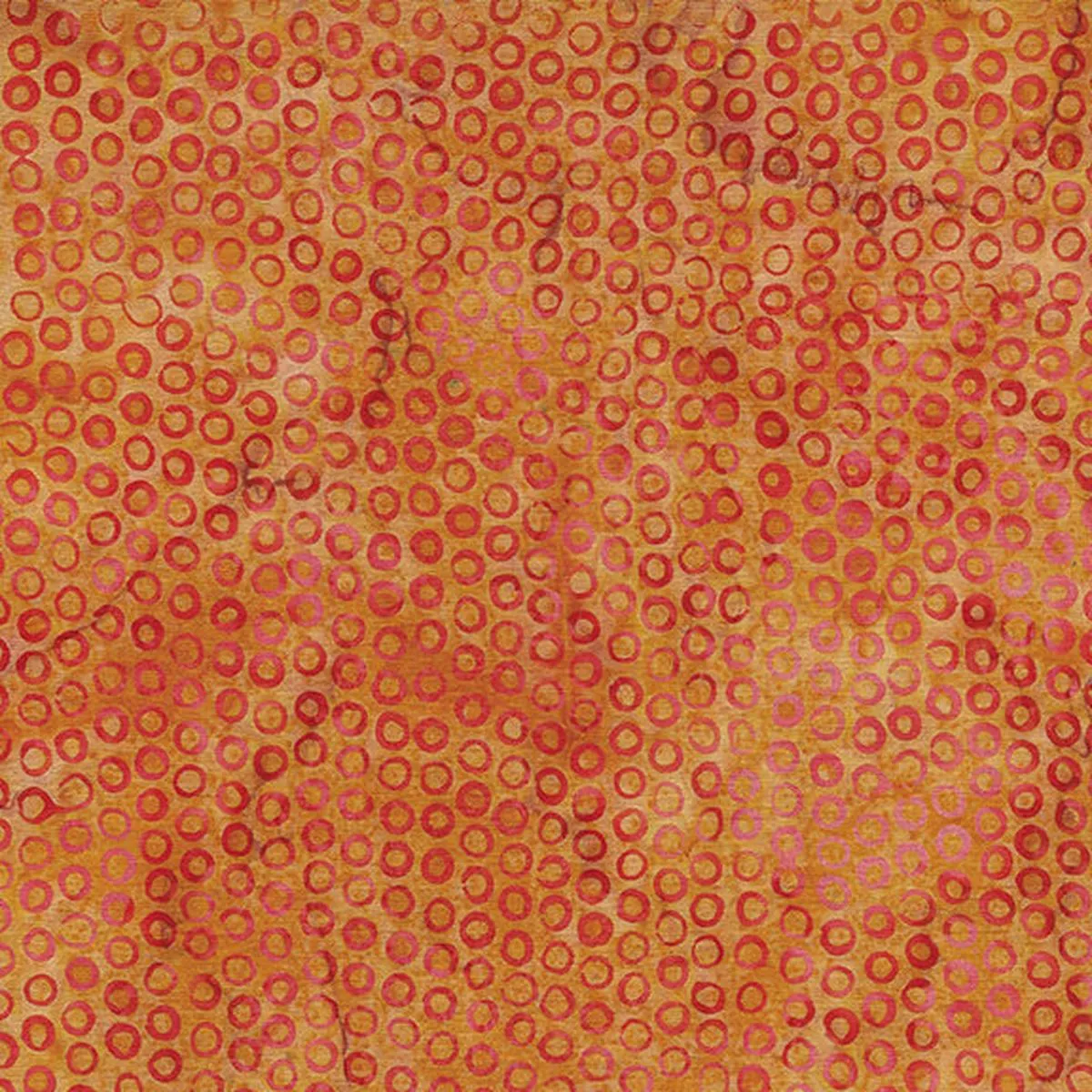 garden-delight-orange-pumpkin Garden Delight Orange Pumpkin