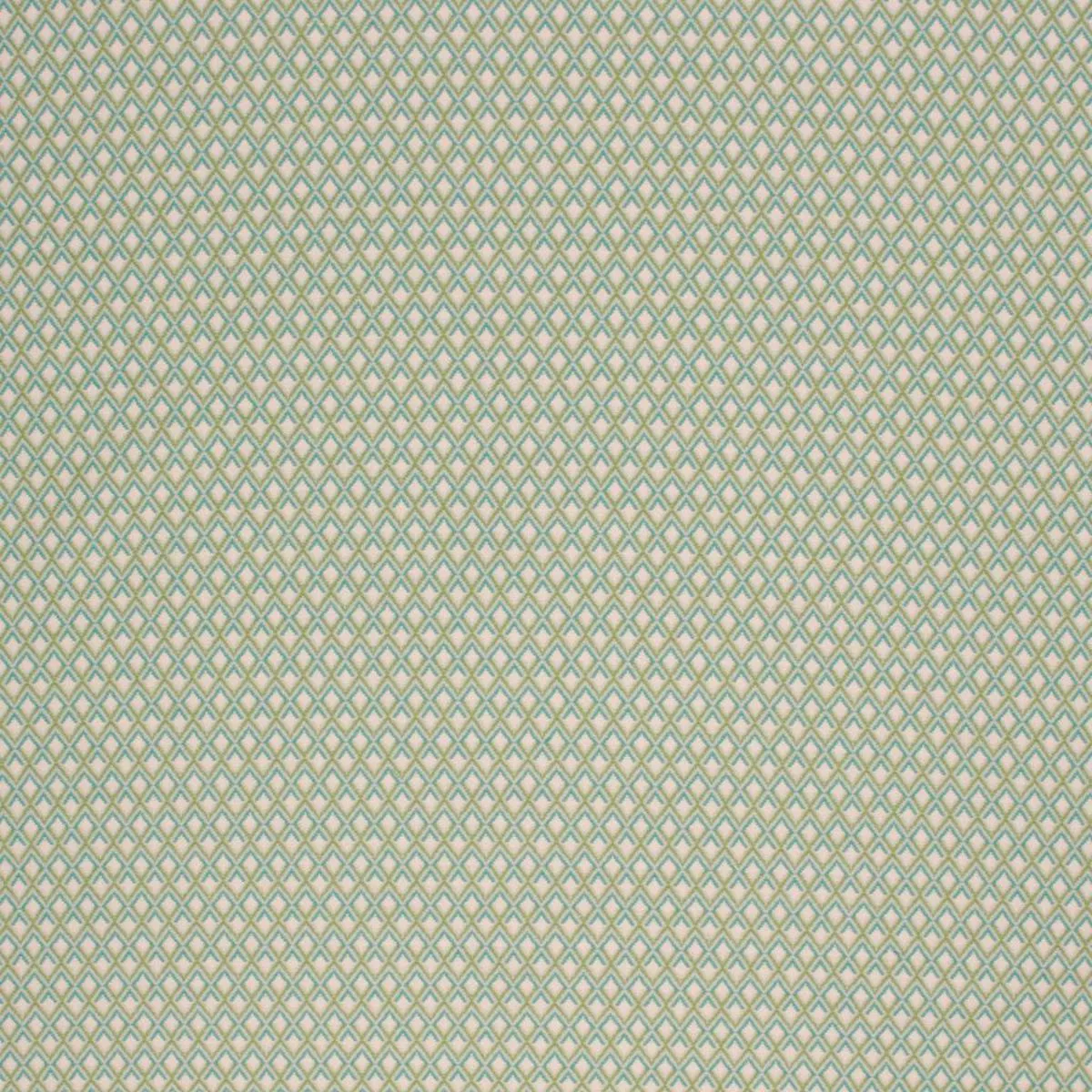 GARDEN TRELLIS MEADOW RM Coco Fabric