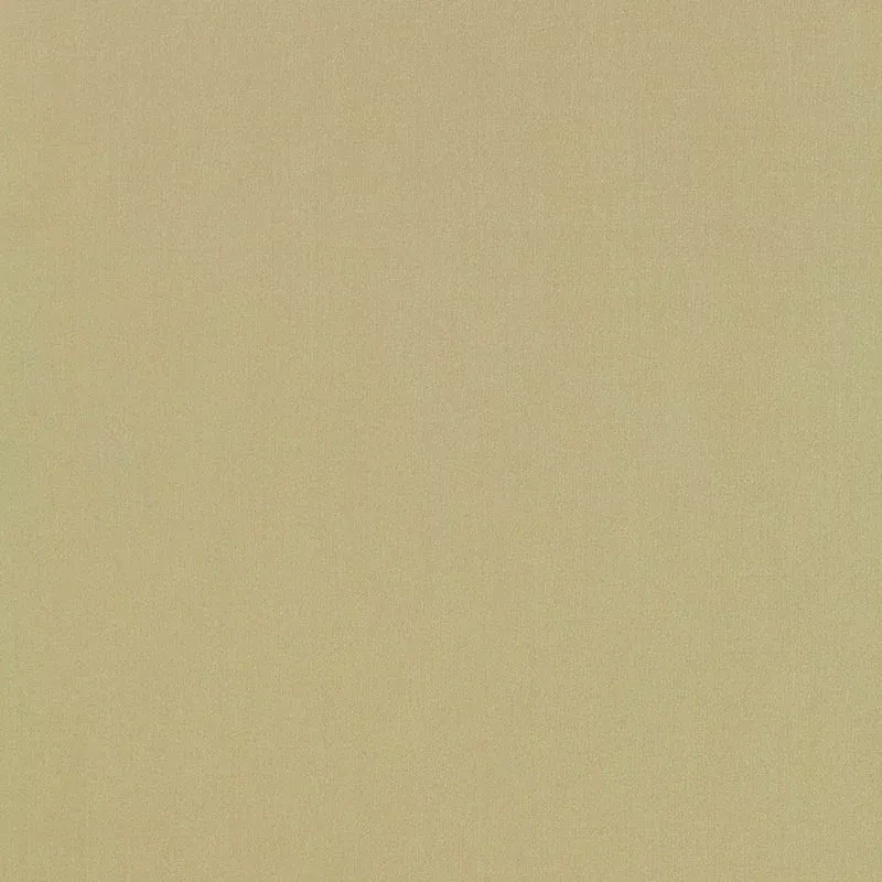 GIORDANO TAFFETA CELERY