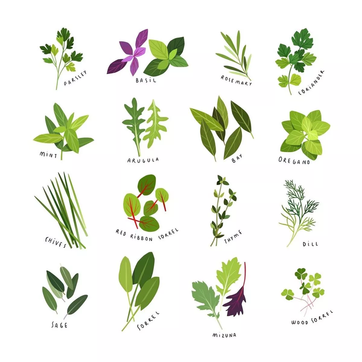 herbs-spices-fabric-panel-white Herbs & Spices Fabric Panel – White