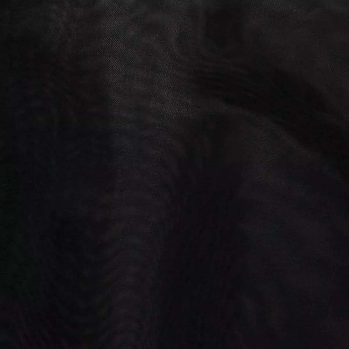 Horsehair Black
