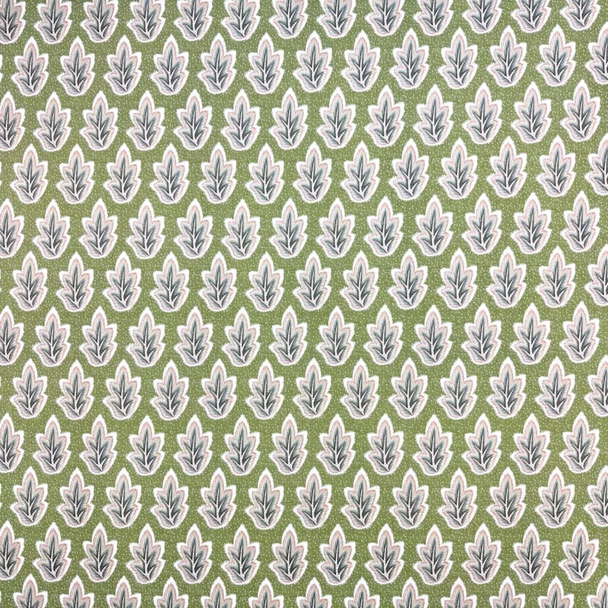 iliv-roshni-olive ILiv Roshni Olive