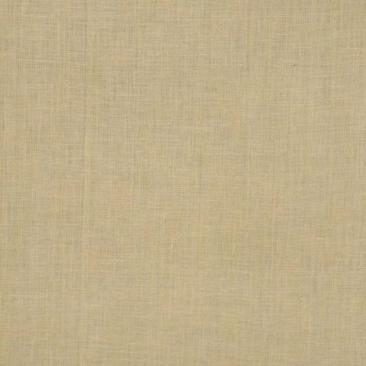 INSIGHT GOLD RM Coco Fabric