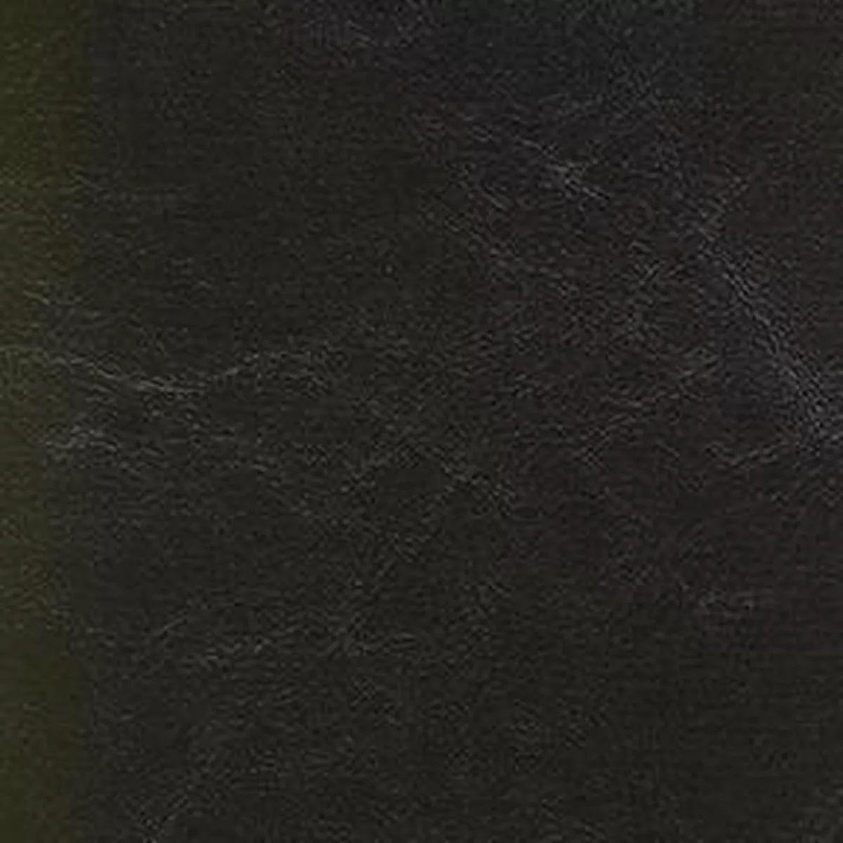 Islander 9155 Ebony Fabric