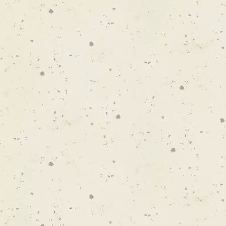Ivory Texture