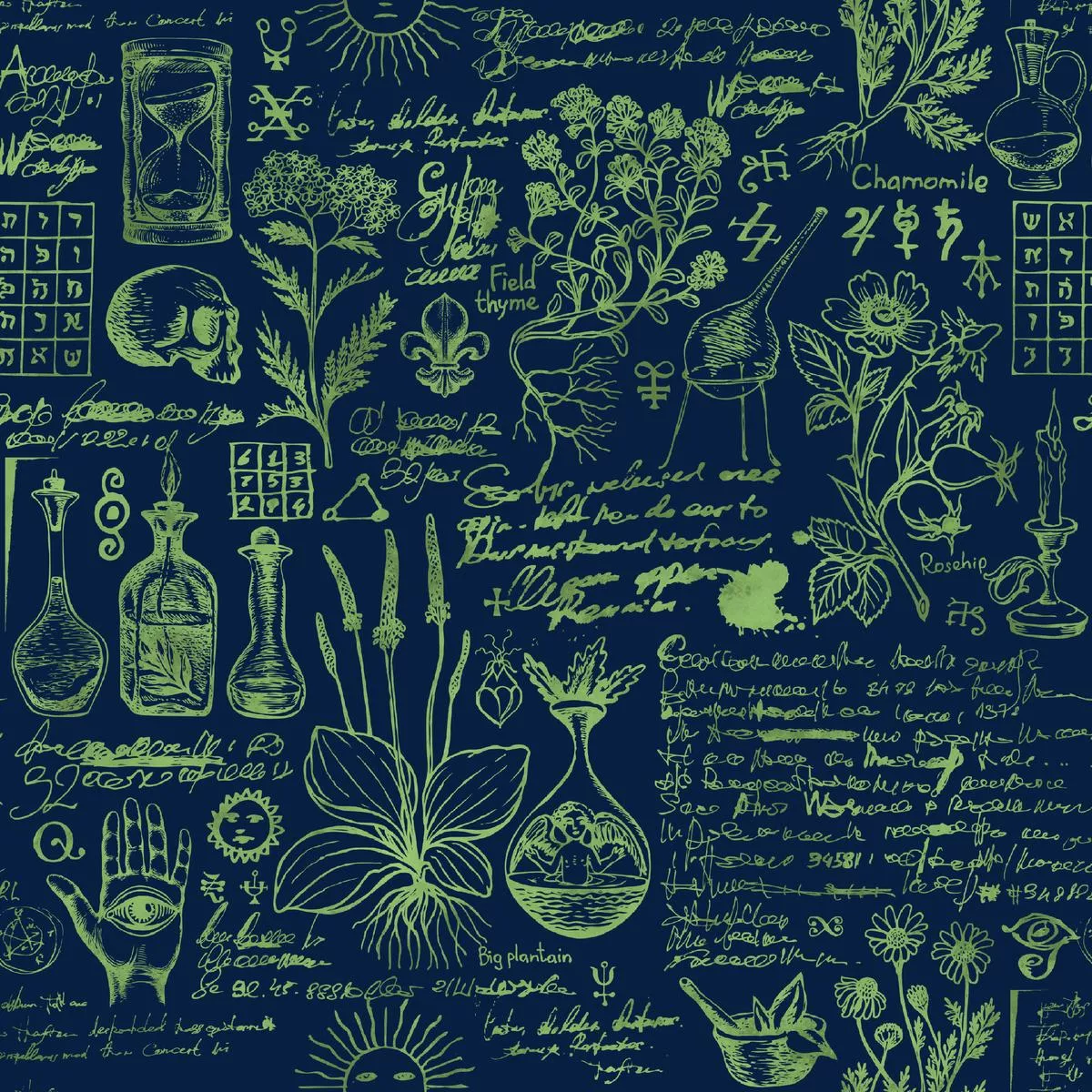 Kate Ward Thacker – Botanical Alchemy – Navy Fabric
