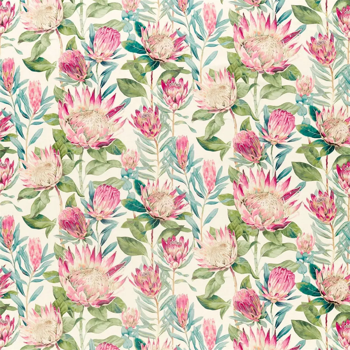 king-protea-rhodera-quantity-metres King Protea – Rhodera | Quantity (Metres)