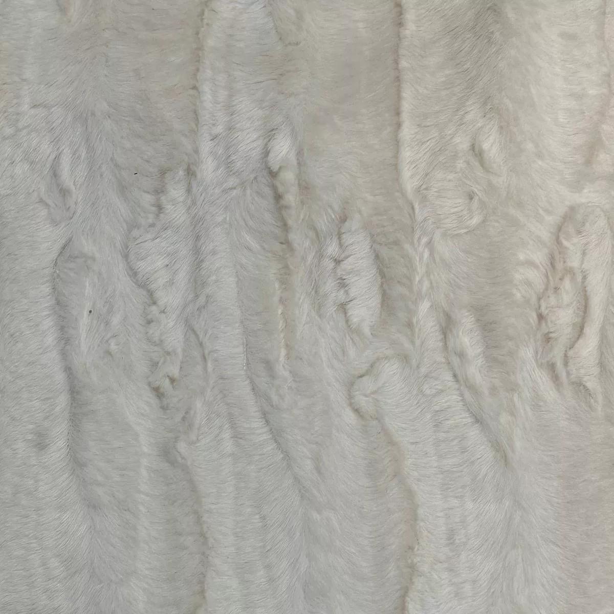 koontz-eggshell-hamilton-fabric Koontz Eggshell Hamilton Fabric