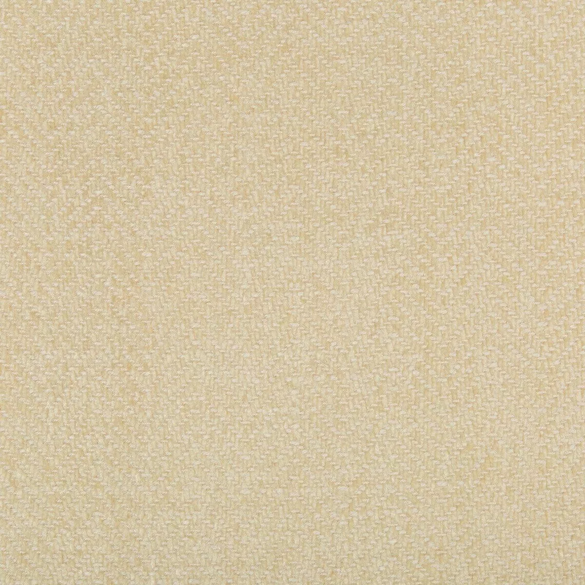 Kravet Design 35674-116 Fabric