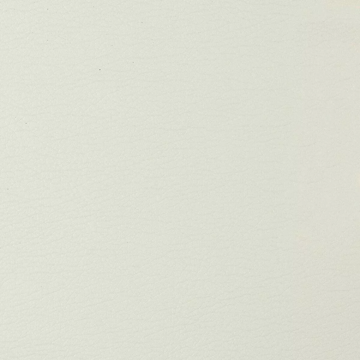 kravet-design-gato-101-fabric Kravet Design Gato-101 Fabric