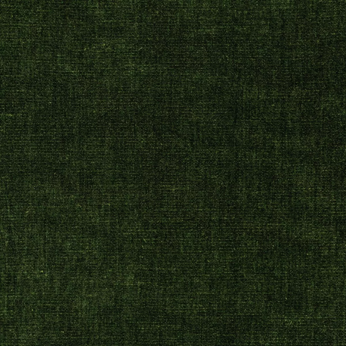 Kravet Smart 36076-30 Fabric