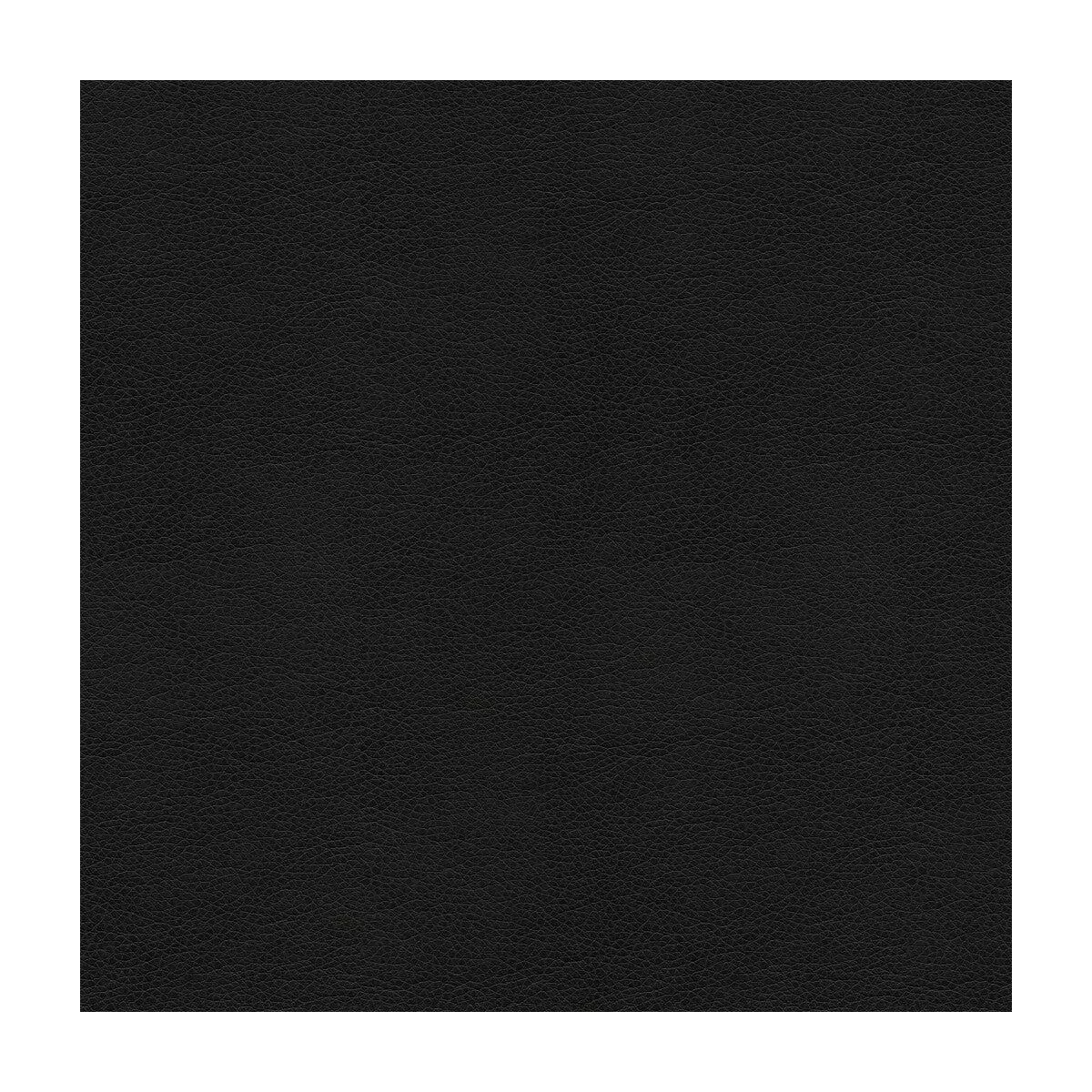 kravet-smart-alina-8 Kravet Smart-Alina-8