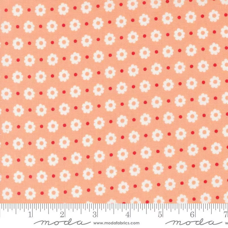 Laguna Sunrise Cantaloupe 37683-13